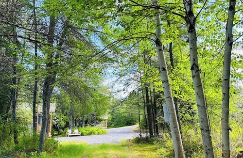 Port Blandford Ski Chalet | Rustic Wave Cottages-Mini Chalet #8
