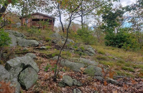 Golden Lake Cabin | SARAH LESLEY CABIN, VERY PRIVATE