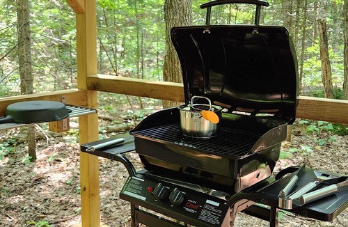 Clear Lake Cabin | Secluded Muskoka Glamping Cabin with Private Lake & Trails