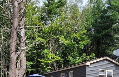 Washago Cottage | Shamrock Bay Resort 3 bedroom cottage in Muskoka