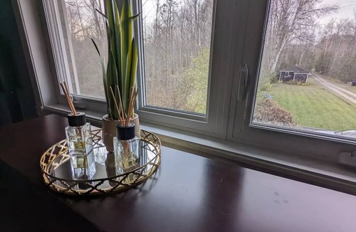 Springwater Cottage | Soothing 4-Season Work & Play Lakehouse