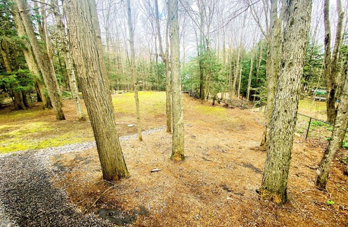 Bracebridge Apartment | Spacious Private Comfort, EV Charger, Pet OK, Lg Fenced Backyard, Firepit, BBQ