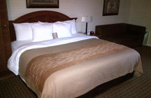 Markham Hotel | Spark By Hilton Toronto Markham