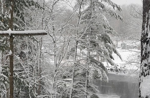 Washago Cottage | Spectacular Riverfront Cottage + Bunkie on Gravenhurst. Pet friendly