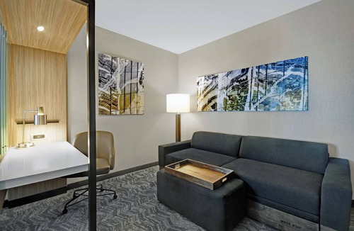 Arden Hills Hotel | SpringHill Suites by Marriott St. Paul Arden Hills
