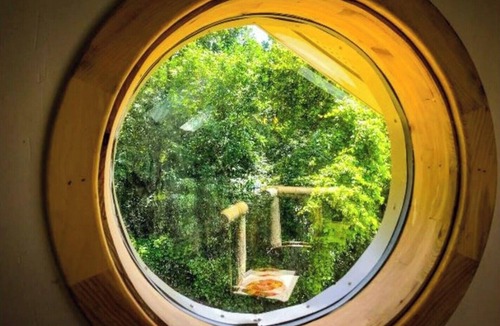 Upsala House | Star-Gazer LOTR Treehouse. Mordor corner.