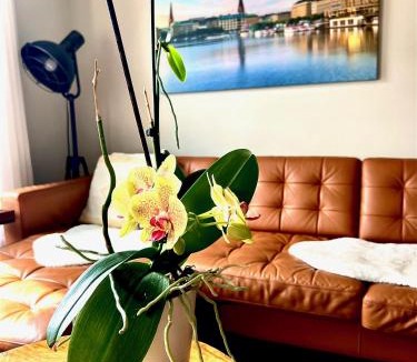 Perth Apartment | Stylish Heritage Gem facing Stewart Park and Town Hall