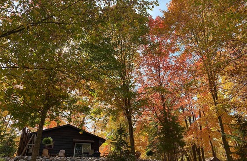 Longville Cabin | Summer is coming!