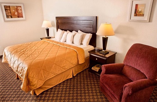 Calgary Hotel | Super 8 by Wyndham Calgary/Airport