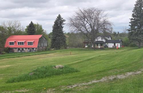 Roseneath Villa | The Gathering Spot - Soccer and Cricket Ground