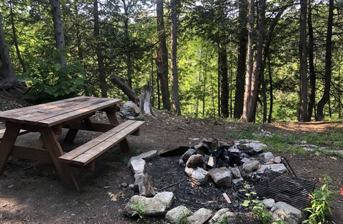 Central Frontenac Cabin | The Robin's Nest Private Woodland Cabin