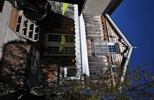 Bedford Park House | The Tree House ~ Lower Level