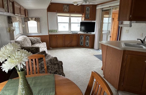 Erskine Cabin | Tranquil cabin with AC on charming Lake Sarah.