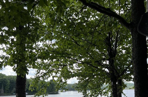 Novar House | Tranquil cottage on a lake with canoes, dock and lots of peace.