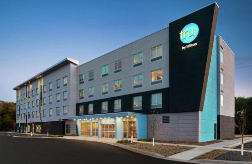 Duluth Hotel | Tru By Hilton Duluth Mall Area