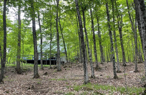 Central Frontenac Cottage | Two-bedroom cottage on quiet lake, family-friendly — kayaks, canoe (sauna avail)