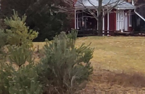 Adjala-Tosorontio Cottage | Up country guest house