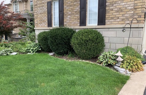 Brampton Condo | Upscale Coach House - 1 Bedroom