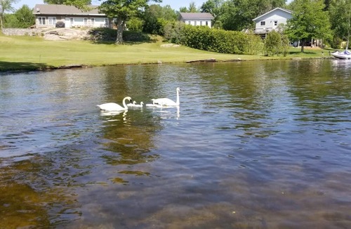 Georgian Bay Cottage | Waterfront Cottage Close to White's Falls