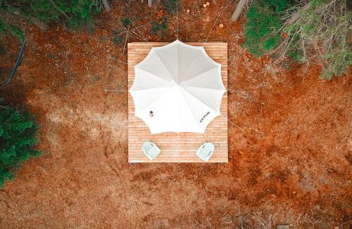 Regional District of Bulkley-Nechako Other | Willow Riverfront Bell Tent