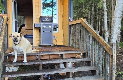 Golden Lake Cabin | Wood Duck Cabin, Hike in or 4x4 vehicle, 120 m