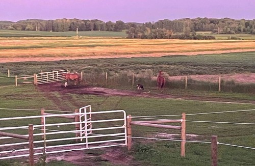 Browerville RV Rental | Yahweh Horse Retreat