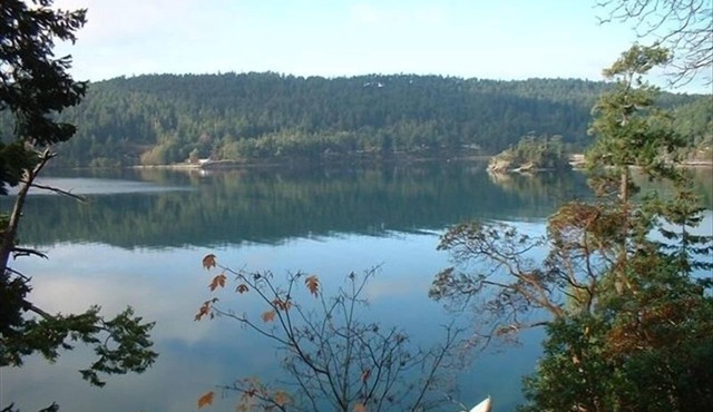 Ainslie Point Deluxe Waterfront Cottage with Beach and Dock Access