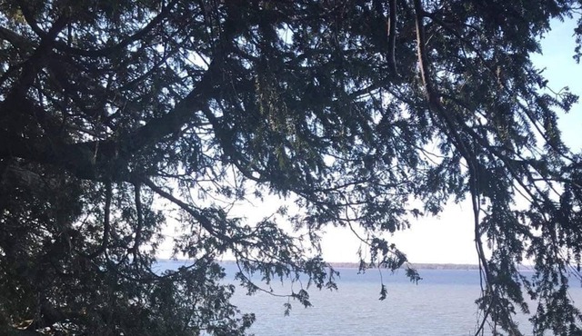 Appartement directement sur le bord du Lac Champlain