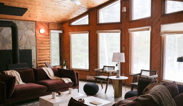 Bowerbird Stays Cozy Log Cabin