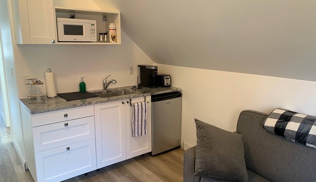 Brand New 2 Bedroom Downtown Kingston