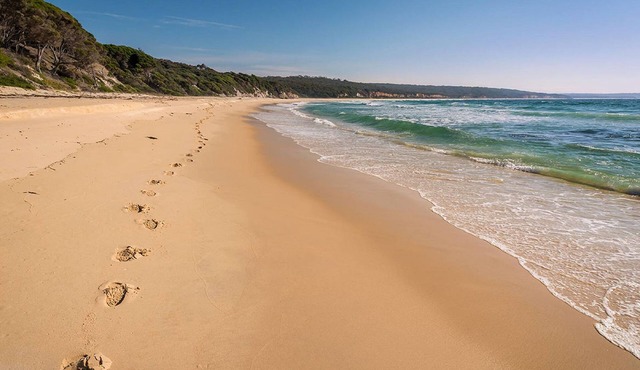 Catlins Newhaven Holiday Park
