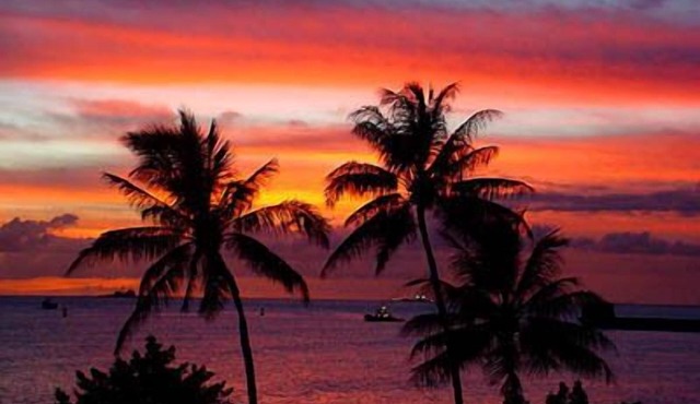 Clean/Chic/Secure Studio, FREE PRIVATE PARKING, LAUNDRY,WIFI, POOL in Honolulu
