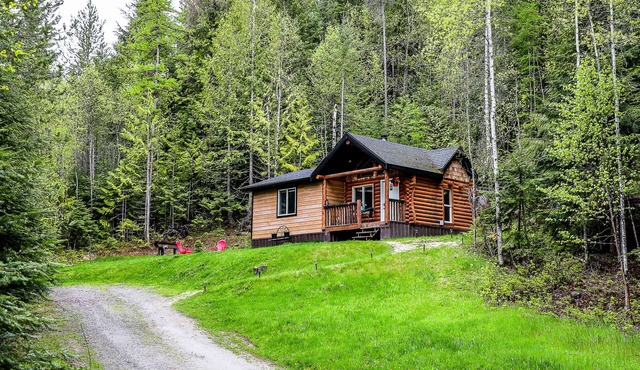 Cloud #9 Cabin — Cozy cabin w/hot tub!