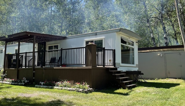 Cozy 35 Acre Waterfront Property With Cabin