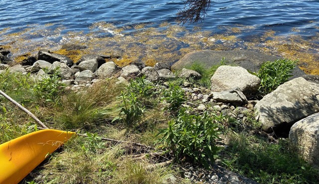 Cozy private waterfront cottage on the Eastern shore. Just 1.5hrs from Halifax.