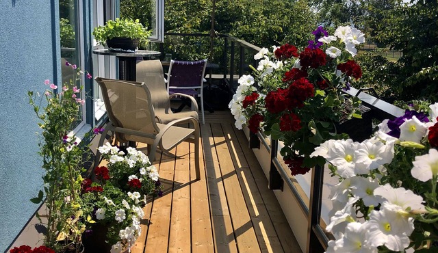 Get Away From your Cold Winter to this Lovely Condo by the Sea on the West Coast