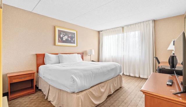 Hotel King Suite with Parking, AC, Gym, Pool