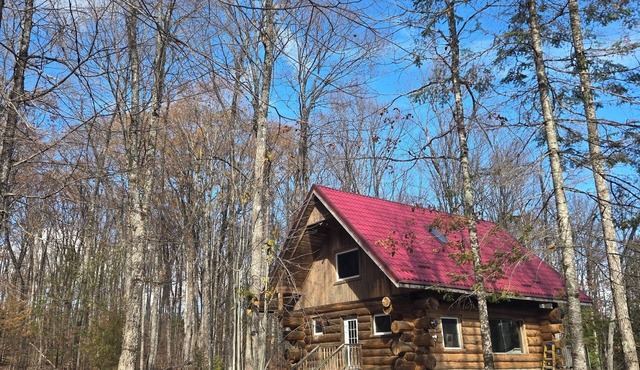 Lake Front Log Cabin