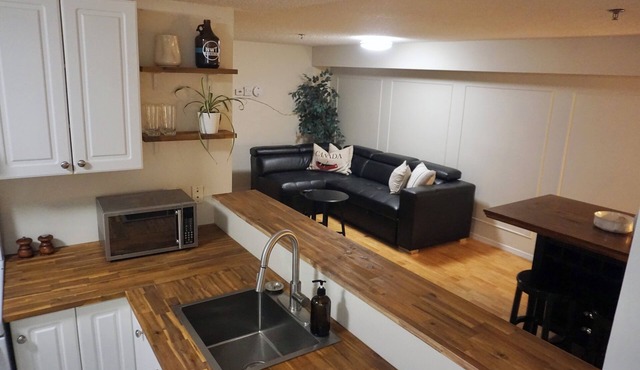 Large Modern Unit Near Downtown & Oldtown!