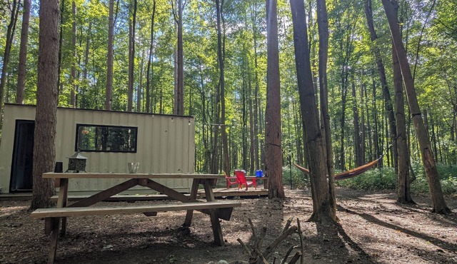 Little Can in the Pines - Bunkie No. 2