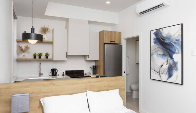 Loft 205 - Rooftop - Netflix - Downtown