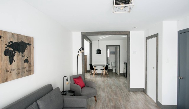 Loft with bed and sofabed in the city centre (Le Court-toit)