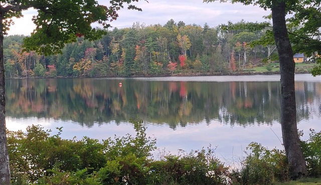 Lovely 1 Bedroom Apartment on Fancy Lake