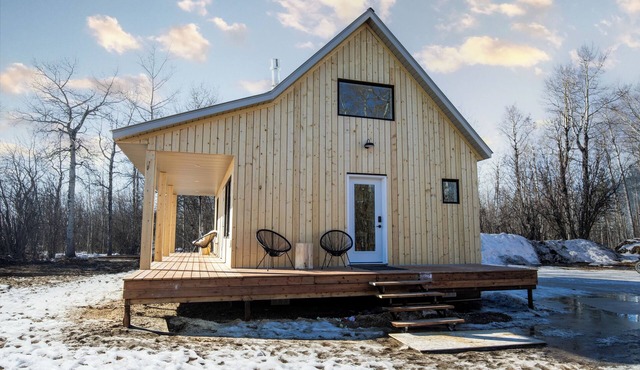 Lucious Cabin Retreat near Wembley