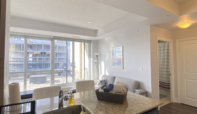 luxurious condo
