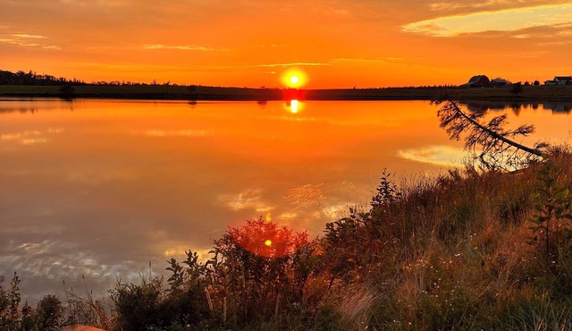 Luxury Farmstaycation - The Moose River Cottage at Lindsay Lake Farms