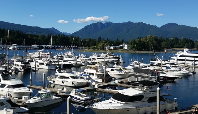 Luxury, Modern, Immaculate Prime Downtown Waterfront with Gorgeous View