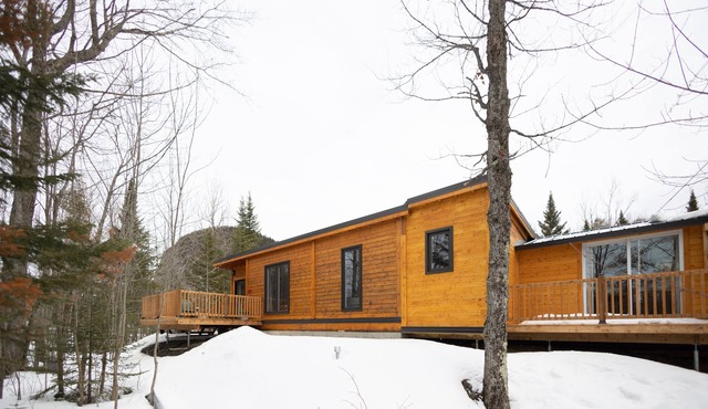 Lyster Cabin #2