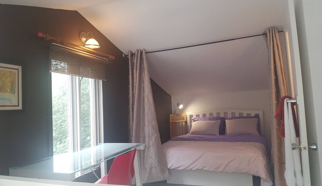 Magnificent apartment on 2 levels in the heart of the Quartier Saint Sacrement (CITQ # 302082)