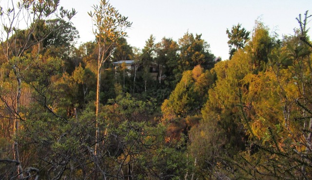 Off grid hut, mountain and bush views